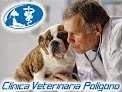 Clínica Veterinaria Polígono