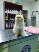 Negocio Clínica Veterinaria Rosas