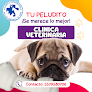 Negocio Clínica Veterinaria Salud Animal