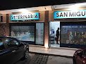 Negocio Clínica Veterinaria San Miguel