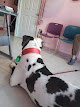 Negocio Clinica Veterinaria Sidrián