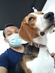 Negocio Clínica Veterinaria Vetaj