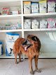 Negocio Clínica Veterinaria Vetz