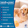 Negocio Clínica Veterinaria Villanueva