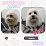 Negocio Clinipetz Clínica Y Estética Veterinaria