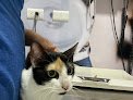 Club Mascota Hospital Veterinario