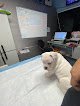 Negocio Como En Casa Veterinaria