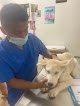 Consultorio Veterinario Koker