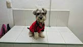 Consultorio Veterinario 