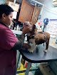 Negocio Consultorio Veterinario Wameru