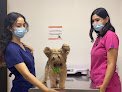 Negocio Docvet Clinica Dental Veterinaria