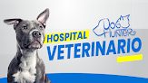 Dog Hunter Hospital Veterinario