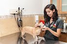 Doggie's Hospital Veterinario