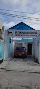 Dogos Clinica Veterinaria