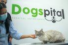 Negocio Dogspital Veterinario A Domicilio En Aguascalientes