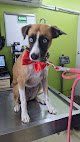 Negocio Dr Héctor Morales Clínica Y Estética Veterinaria