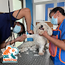 Negocio Dr Mascotab Clinica Veterinaria Especializada