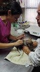 Negocio Dr. Garcia Hospital Veterinario