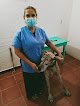 Negocio Dunia Veterinario