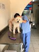 Échame Una Pata, Servicios Veterinarios A Bajo Costo.