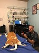 Negocio El Arca De Los Bichos Hospital Veterinario