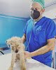 Negocio Especialidades Del Sur, Centro Veterinario