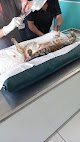 Negocio Estación Mascota Clínica Veterinaria