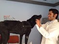 Exotic Vet