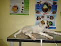 Farmacia Y Clinica Veterinaria El Jaguar