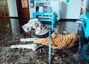 Negocio Felican Centro Veterinario Policlínico