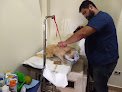 Negocio Fierito's Vet Clinic