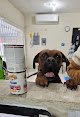 Negocio Genesis Hospital Veterinario