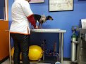 Gmvt - Clínica Veterinaria - Suc. Jesús Carranza