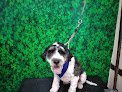Negocio Gmvt - Clínica Veterinaria - Suc. Valle Don Camilo