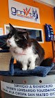 Negocio Gmvt - Clínica Veterinaria - Suc. Vicente Lombardo Toledano