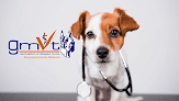 Gmvt - Clínica Veterinaria - Sucursal Antonio Albarrán