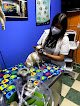 Negocio Gmvt - Hospital Veterinario - Sucursal Corralitos