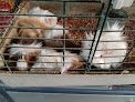 Granero Y Veterinaria El Mezquite