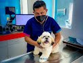 Negocio Hidoc - Hospital Veterinario De Especialidades