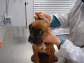 Negocio Hospital Animal