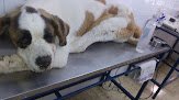 Hospital Central Veterinario