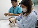 Negocio Hospital De Especialidades Veterinarias De Oriente