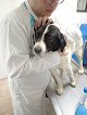 Negocio Hospital De Especialidades Veterinarias San Jerónimo