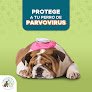 Hospital De Mascotas Saji