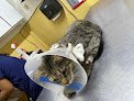 Hospital Veterinario