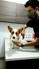 Hospital Veterinario Animal Life
