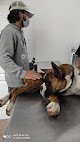 Negocio Hospital Veterinario Animal Palace