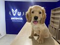 Hospital Veterinario Artemisa
