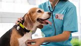 Hospital Veterinario Asis
