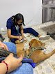 Negocio Hospital Veterinario Balbuena